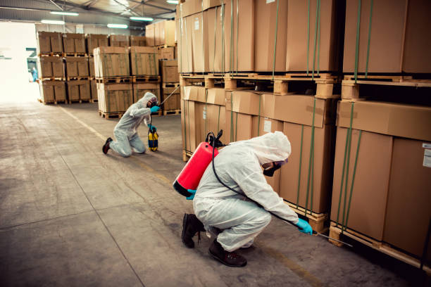 Pest Prevention Services in Blue Island, IL