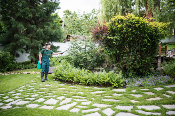 Best Residential Pest Control  in Blue Island, IL