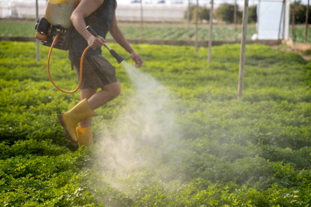 Best Commercial Pest Control Services  in Blue Island, IL