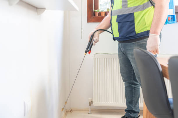 Trusted Blue Island, IL Pest Control Experts