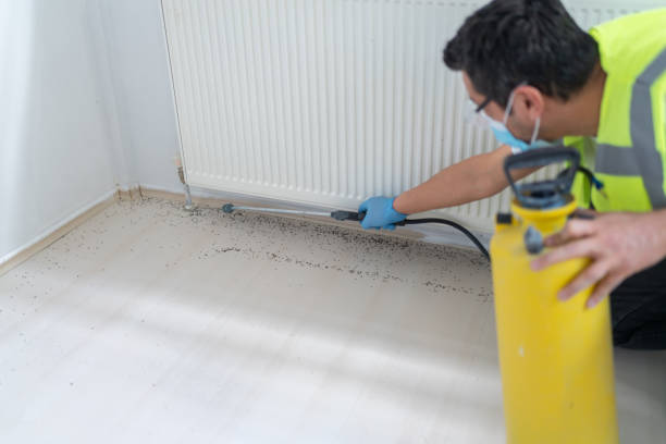 Best Cockroach Control Services  in Blue Island, IL